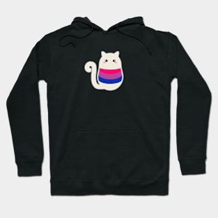 Bi Pride Cat Hoodie